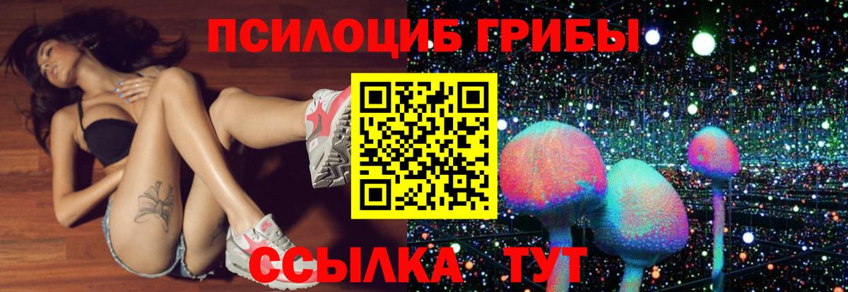 Галлюциногенные грибы Psilocybine cubensis  Вход с VPN  купить закладку  Луга 